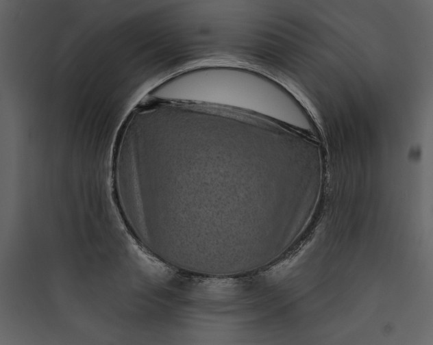 X0000089750845200707121340