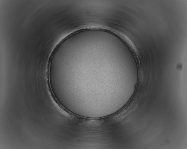 X0000089750847200707121340