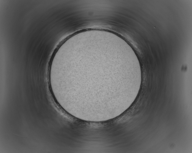 X0000089750848200707121340