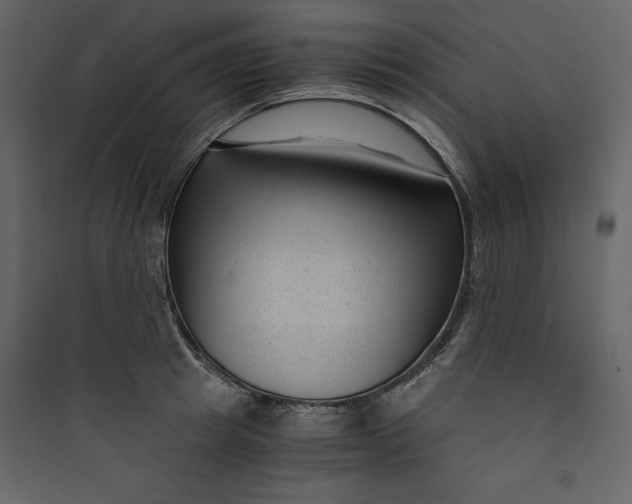 X0000089750849200707121340