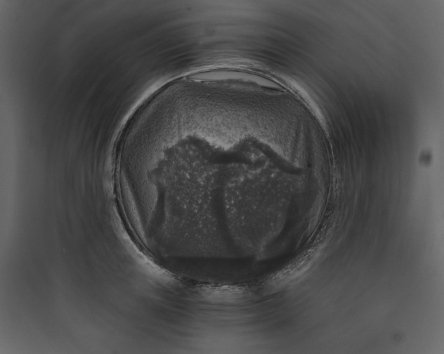 X0000089750851200707121340