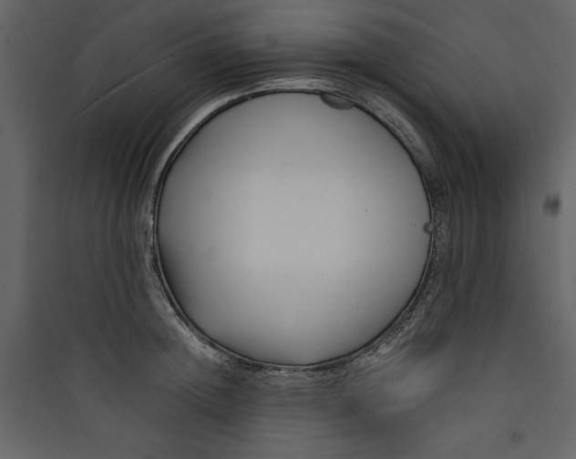 X0000089750852200707121340