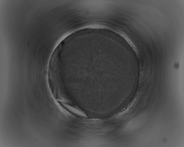 X0000089750853200707121340