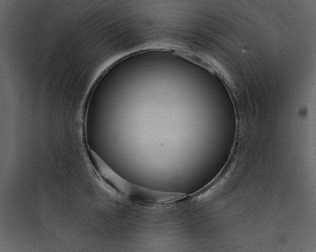 X0000089750854200707121340