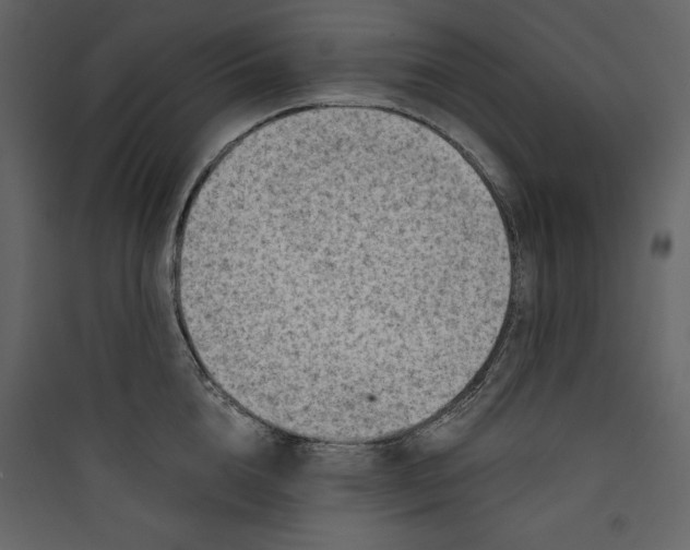 X0000089750856200707121340