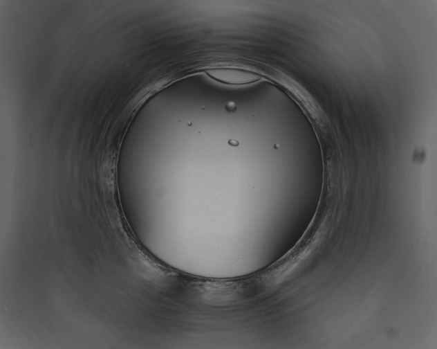 X0000089750857200707121340