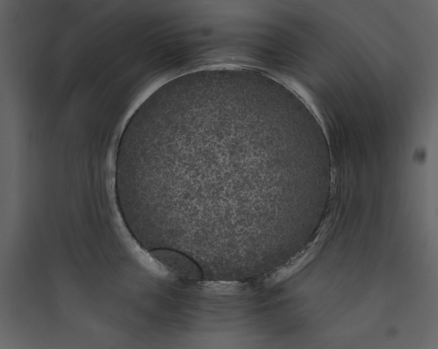 X0000089750859200707121340