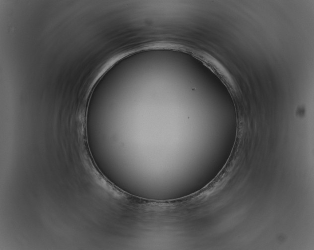 X0000089750860200707121340