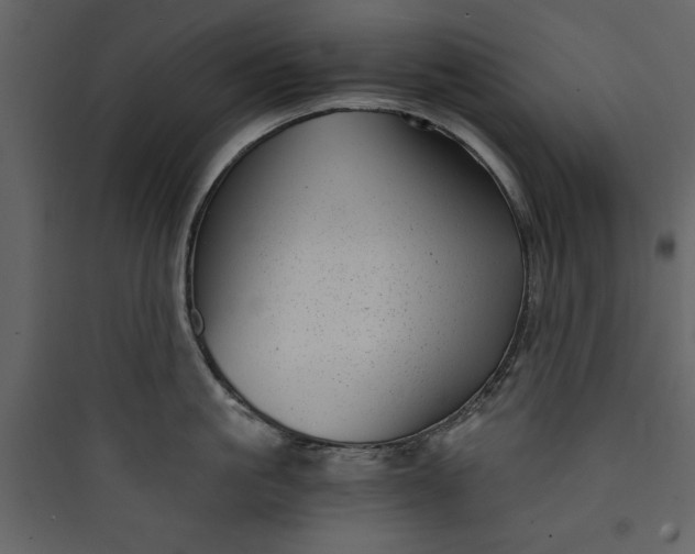 X0000089750861200707121340