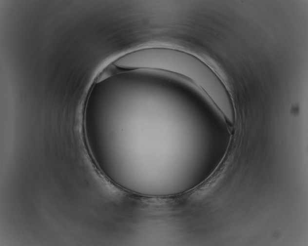 X0000089750862200707121340