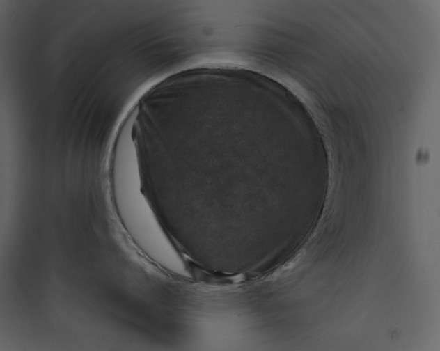 X0000089750864200707121340