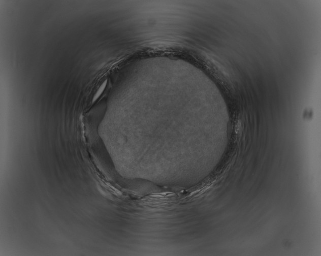 X0000089750868200707121339