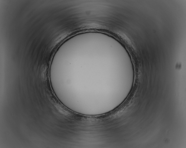 X0000089750873200707121339