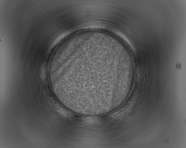 X0000089750874200707121339