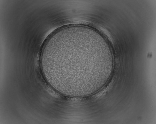 X0000089750875200707121339