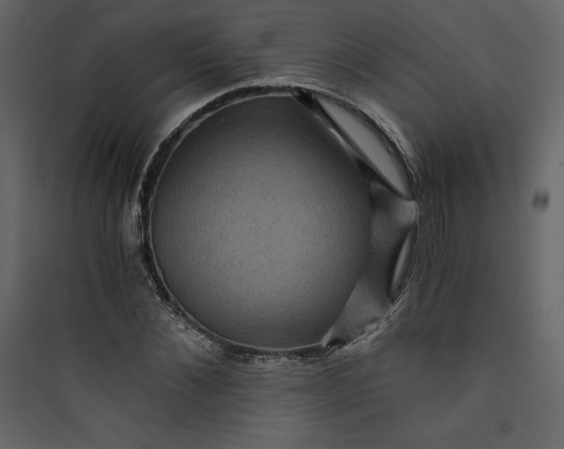 X0000089750876200707121339