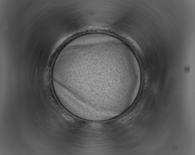 X0000089750878200707121339