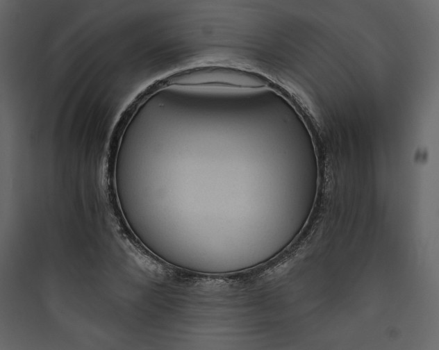 X0000089750880200707121339