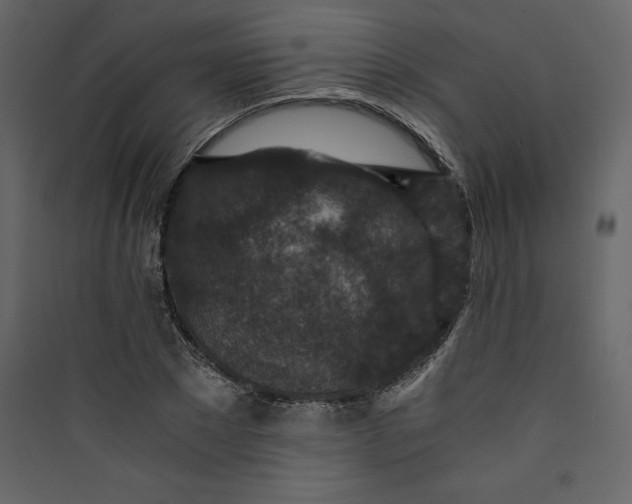 X0000089750881200707121339