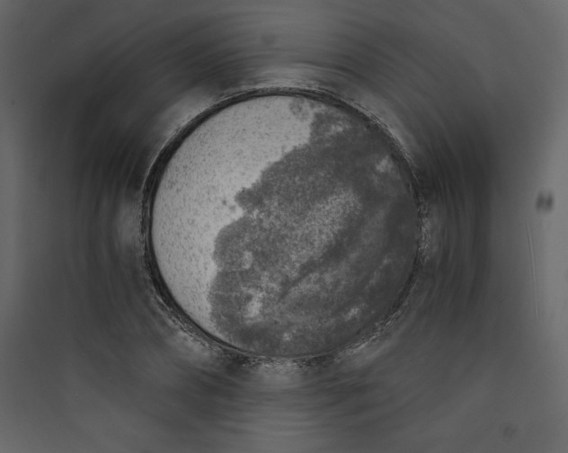 X0000089750882200707121339