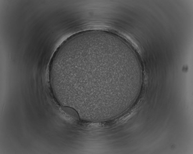 X0000089750883200707121339