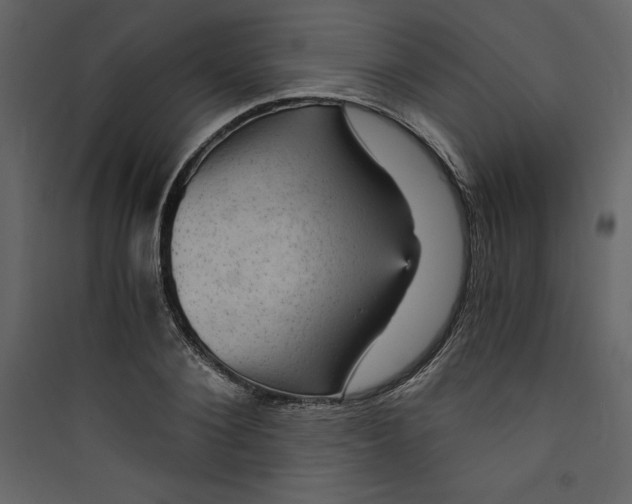 X0000089750884200707121339