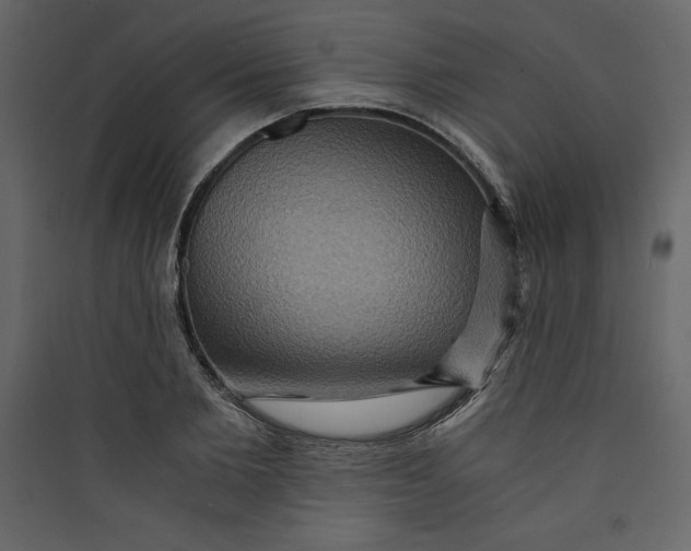 X0000089750885200707121339