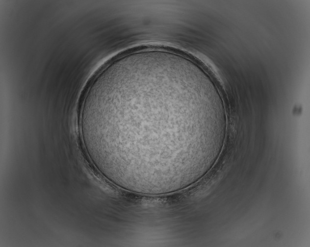 X0000089750887200707121339