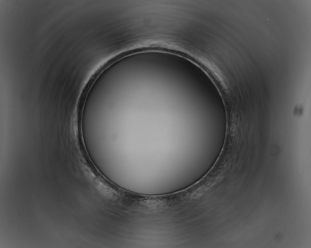 X0000089750888200707121339