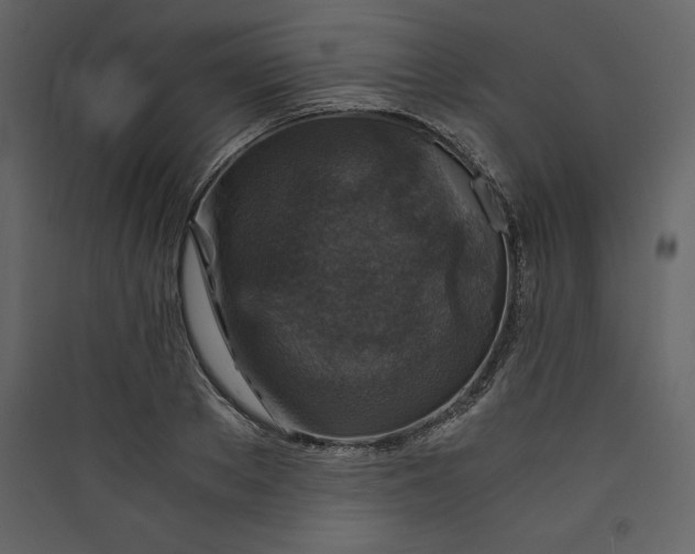 X0000089750889200707121339