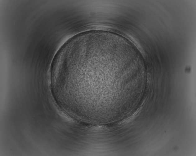 X0000089750891200707121339