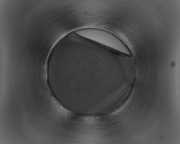 X0000089750892200707121339