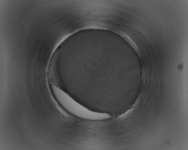 X0000089750893200707121339