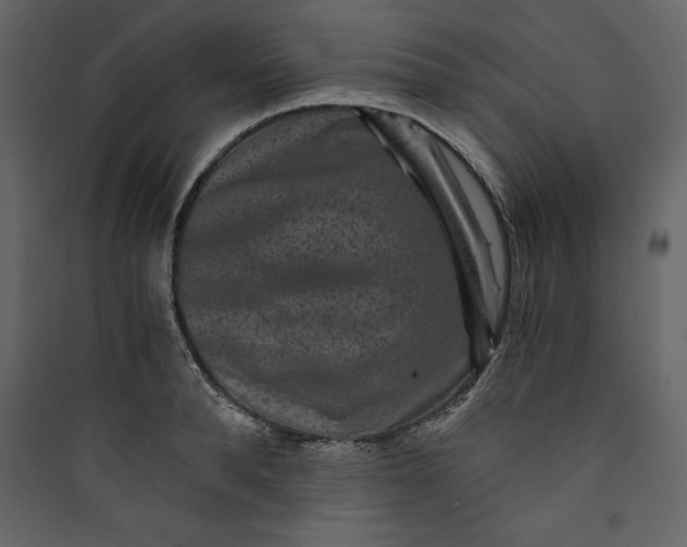 X0000089750896200707121339