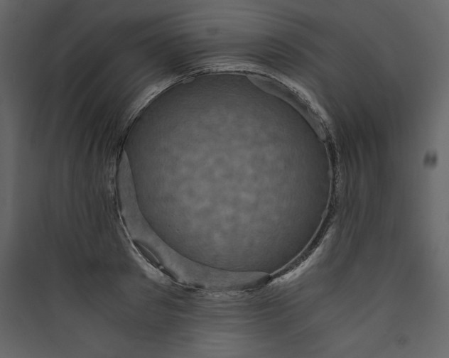 X0000089750897200707121339