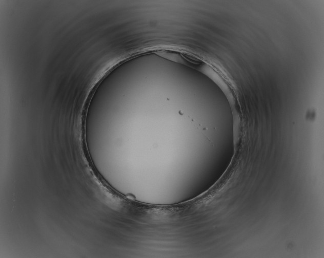 X0000089750898200707121339