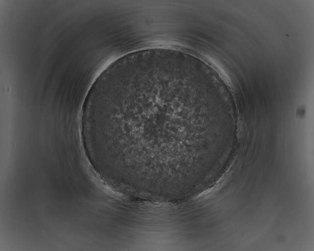 X0000089750899200707121339