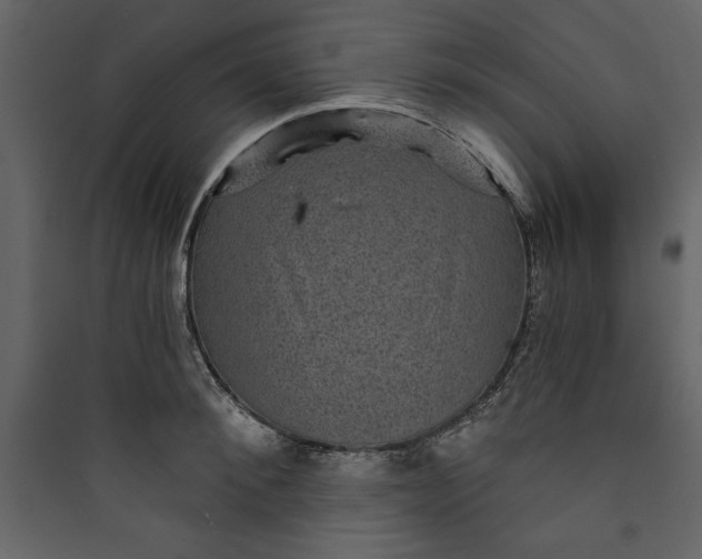 X0000089750900200707121339