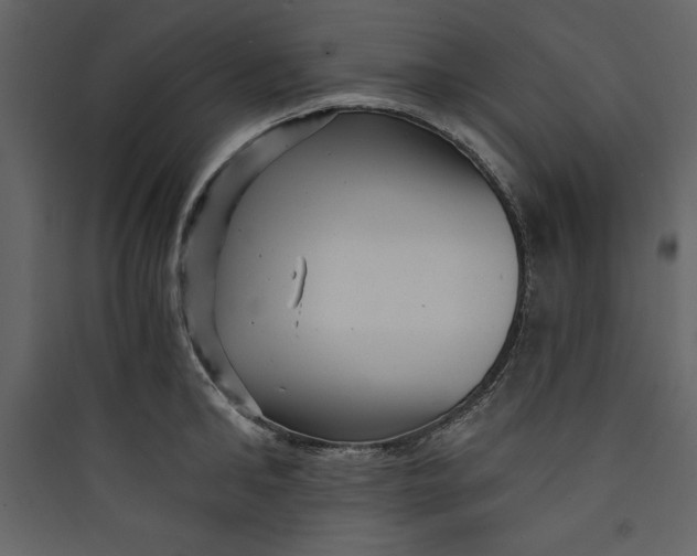 X0000089750902200707121339