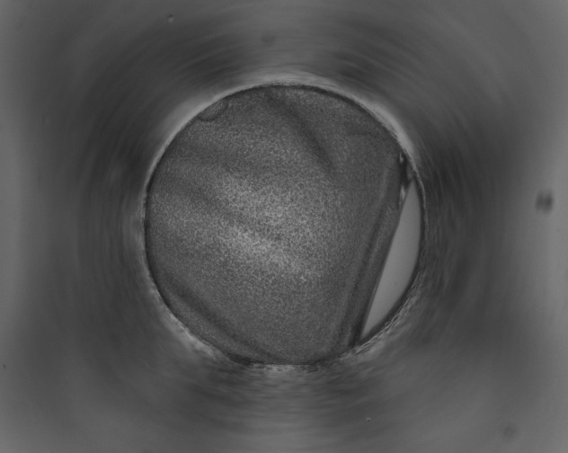 X0000089750903200707121339