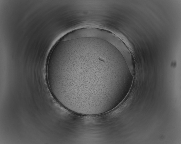 X0000089750904200707121339