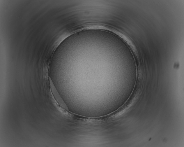 X0000089750905200707121339