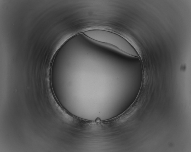 X0000089750906200707121339