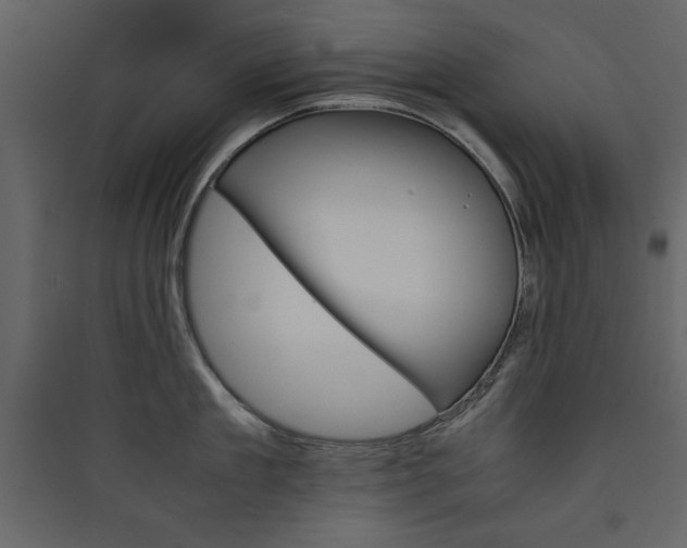 X0000089750909200707121339