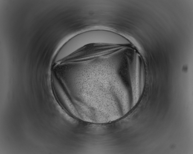 X0000089750910200707121339