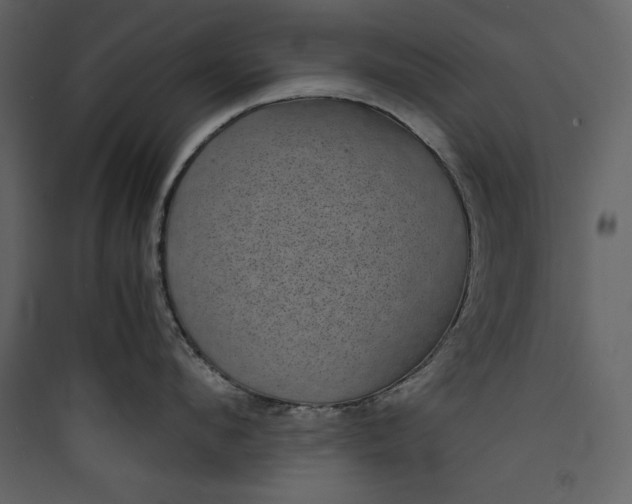 X0000089750912200707121339