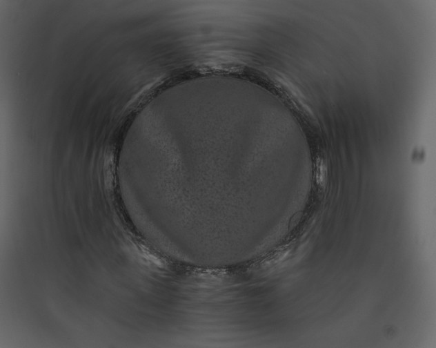 X0000089750915200707121338