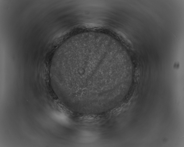 X0000089750917200707121338