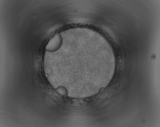 X0000089750918200707121338