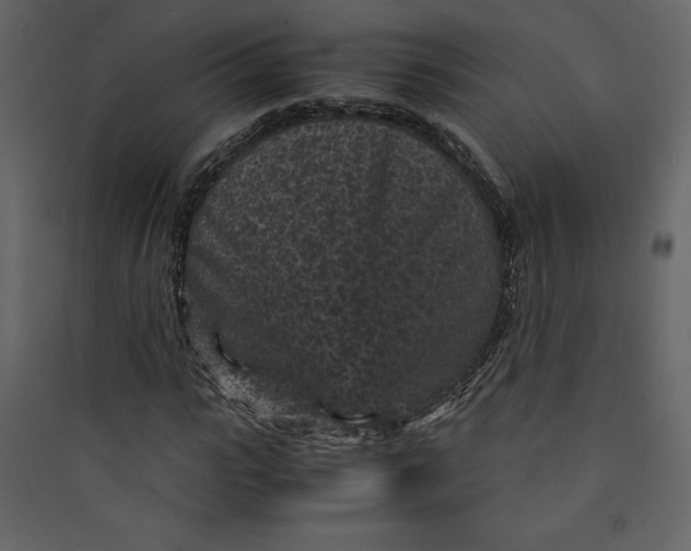 X0000089750919200707121338